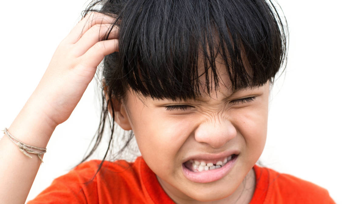 Why Do Kids Get Lice: What Parents Need to Know About Lice and How to ...